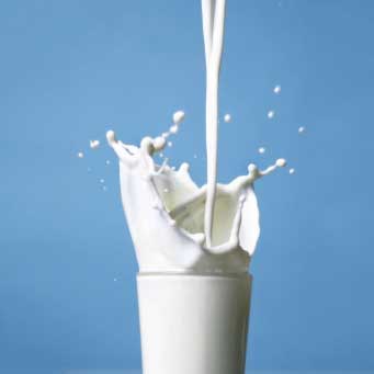 Dairy Products Manufacturer Supplier Wholesale Exporter Importer Buyer Trader Retailer in Parbhani Maharashtra India